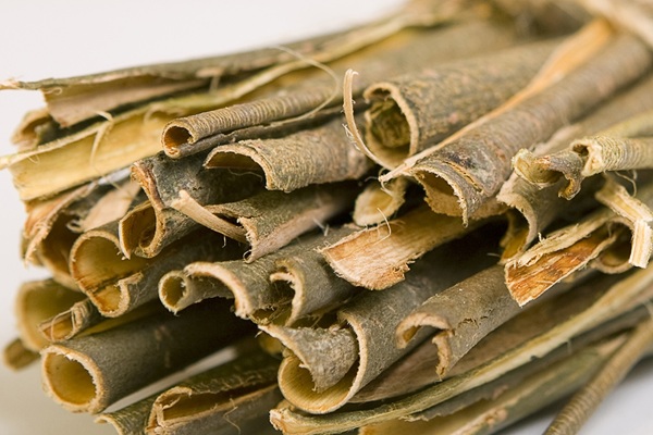 White Willow Bark Extract Powder Benefits: Nature’s Time-Tested Remedy for Resilience and Relief